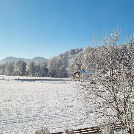סייגסדורף Ferienwohnungen Am Alpenrand מראה חיצוני תמונה